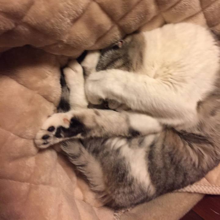 E8bdc814 6057 4c66 beff da2c99a8621d 1571696386530