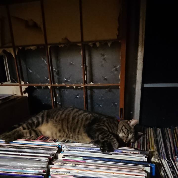 E8bdfaf3 2f0f 4cbf b569 bf839e650a78 1656854092009