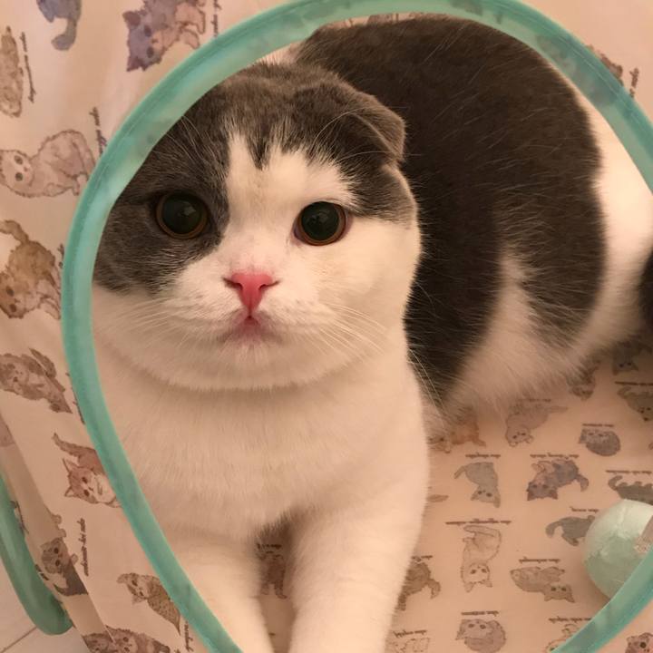 E8be1493 0e0e 44b9 be8b a5d68631df8c 1521466120029