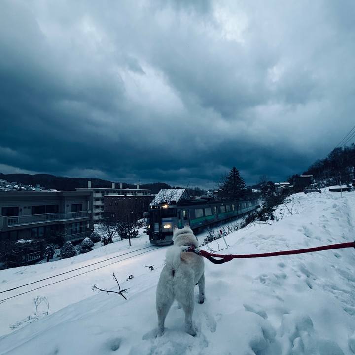 E8be4100 4307 4366 9643 e3604d63c0a7 1766357720594