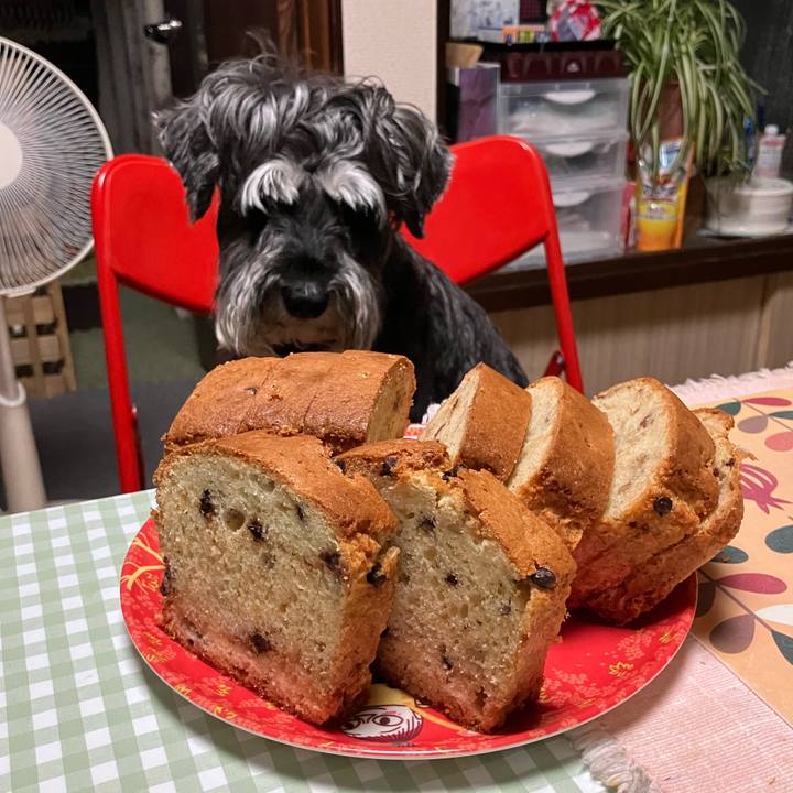 E8be4c40 8f65 4f32 83f7 0e903a1e3d4e 1726447641181