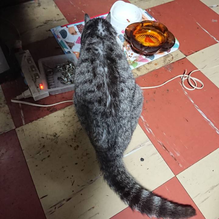 E8be565b 4a5f 4975 b949 8d7c002f6928 1591903349305