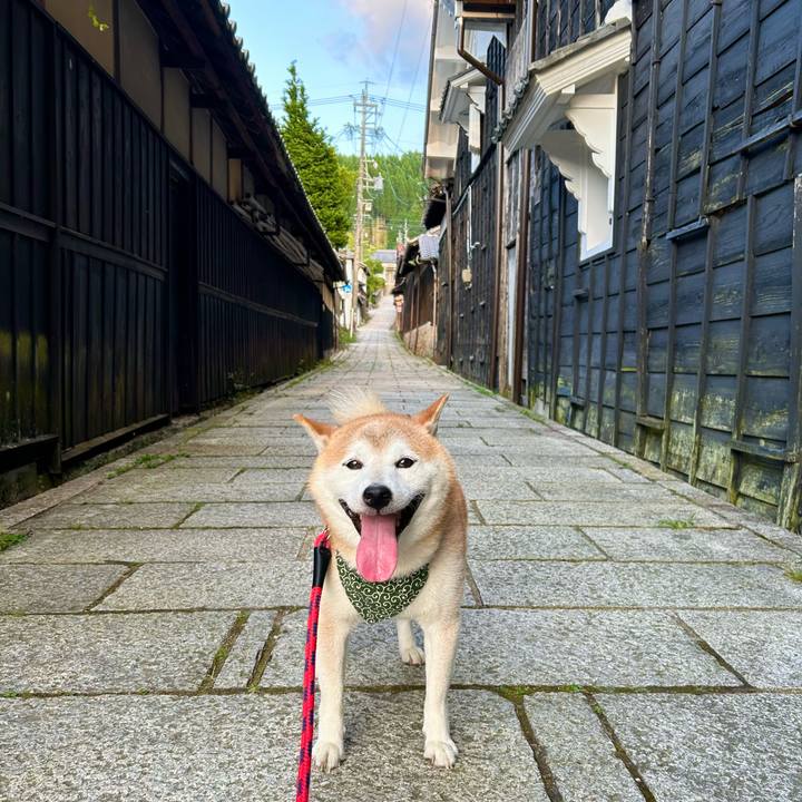 E8beb335 f1ec 4f20 b145 812f4ac93d54 1723029297055