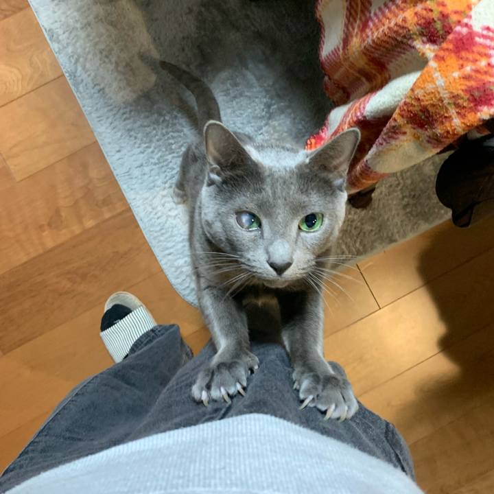 E8bed5a0 dad9 448f b897 44a51ba177a5 1678872713363