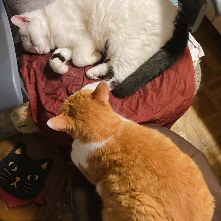 E8bef7d5 fb20 484f 8b7c d014658b8db4 1726389034386