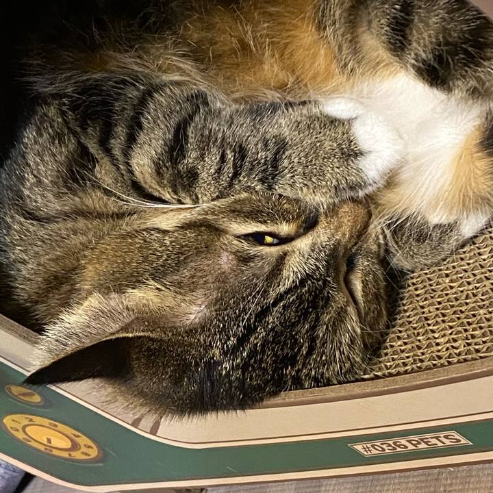 E8bf0155 8cc2 459b aafd daa0d673f878 1633014516205