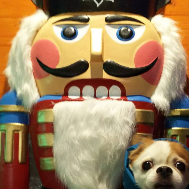 E8bf07c3 4761 4f95 91a3 44c5d82c23fd 1512811504060