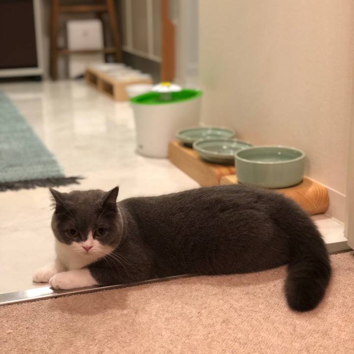 E8bf2b50 a475 4198 a083 75a1b3e9ebbe 1538747712092