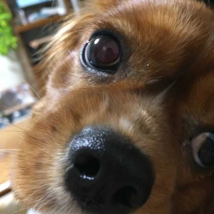 E8bf2f15 5b57 480f 9e28 a131ebb59b4c 1518864031249