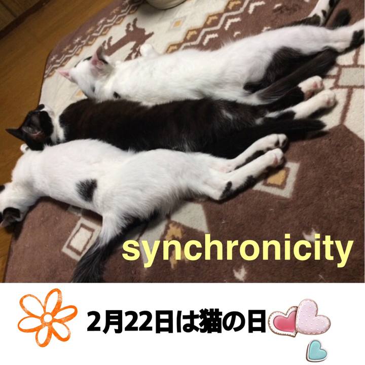 E8bf3c44 5e1c 4346 9356 ea128e0f86ee 1519290028962