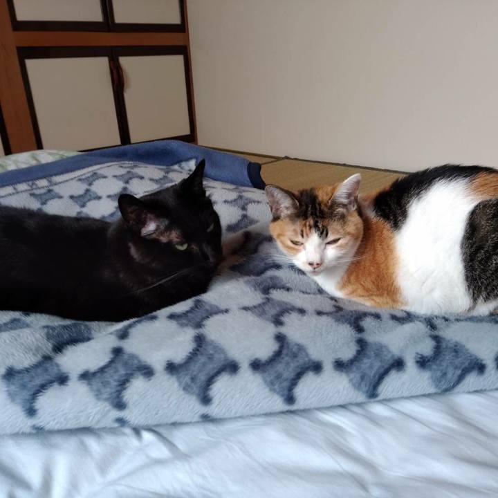 E8bf3d67 bf51 47f6 972b 460c4e0d424c 1598844962542