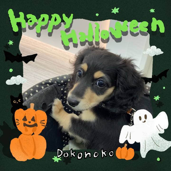 E8bf41bb f64b 4207 99b3 33eb1c9bca97 1729506674513