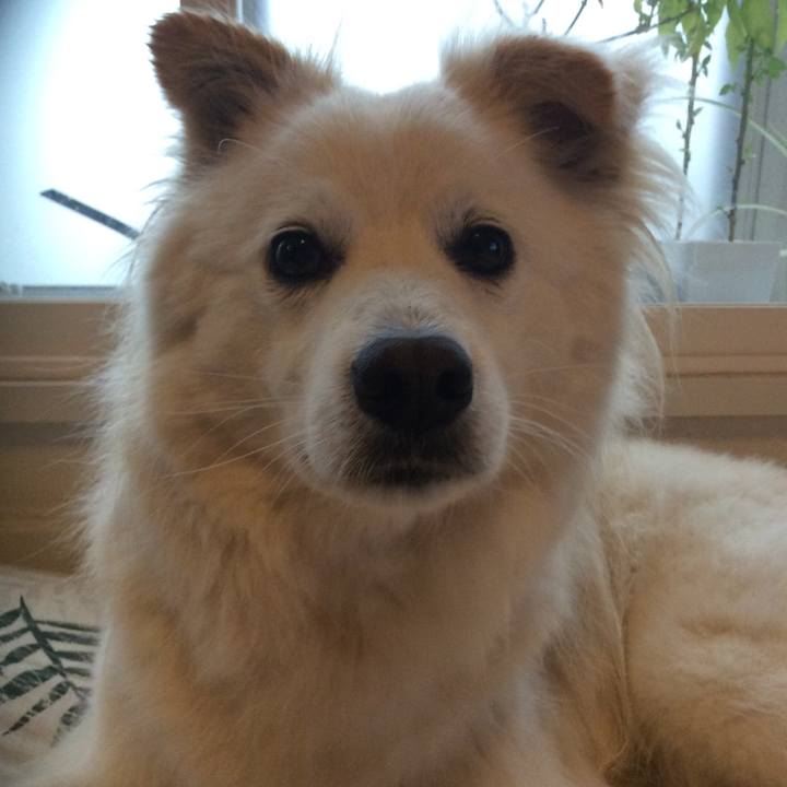 E8bf5235 0c6f 4655 9f5f 22d71b418b37 1525688674314