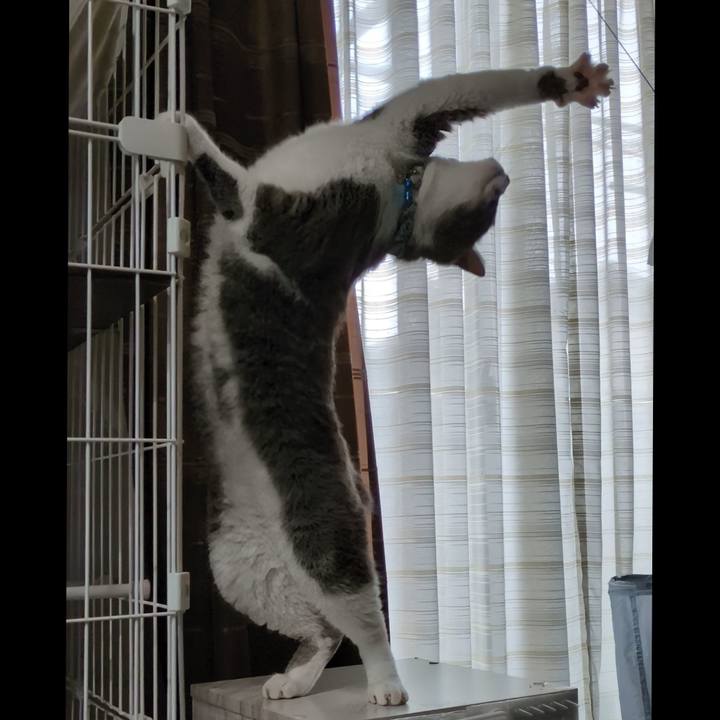 E8bf5bca ab53 4d67 8768 c3432b6dd5f4 1756983883631