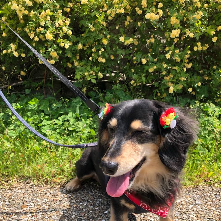 E8bf7865 6ff8 4af3 86f4 e240d134f96a 1620022439785