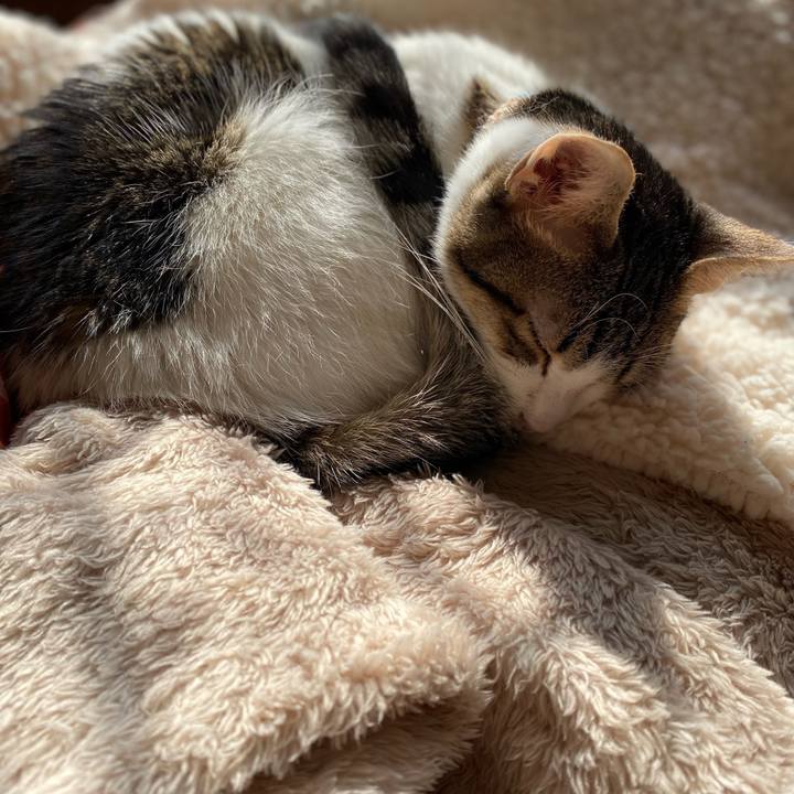 E8bfb9d3 5c0b 4cad b7a9 910a130e51a7 1705370632686