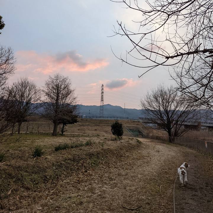 E8bfc7d8 e528 4faa a974 7c4bb4c41bf6 1643416245584