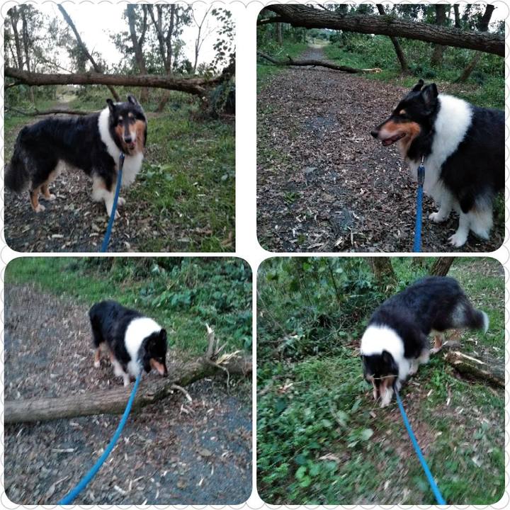 E8bfd07f 2b4e 4f9d a583 f53e10d21cb9 1538601765155