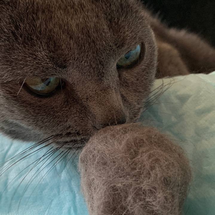 E8bfd39f a95c 4b9a 87d2 a56bfe5e9d46 1555721530507