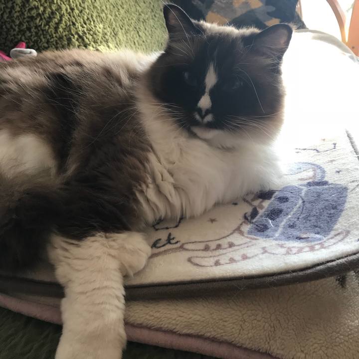 E8bffeac 3b98 4bdb a9a8 1988c79d473a 1518408465804