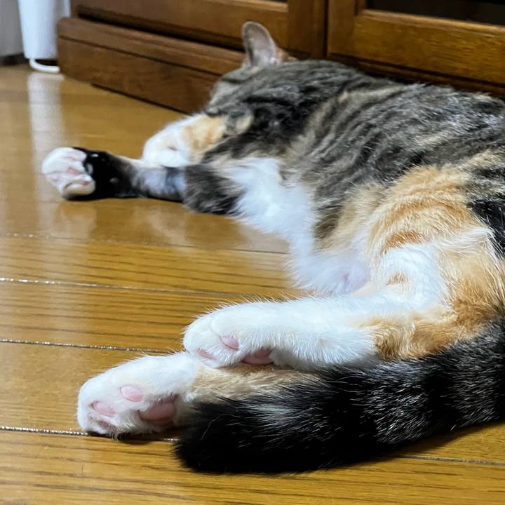 E8c01dc7 d766 4f18 8ee2 6db8640a0704 1771334213647