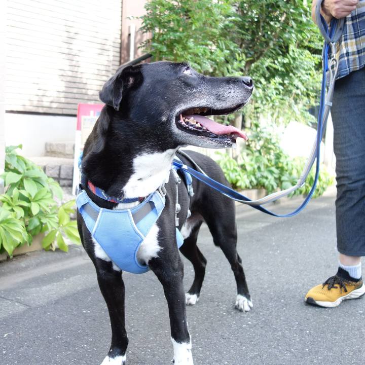 E8c022bb 1a9d 41b9 8d87 a886237f2e0f 1720484812973