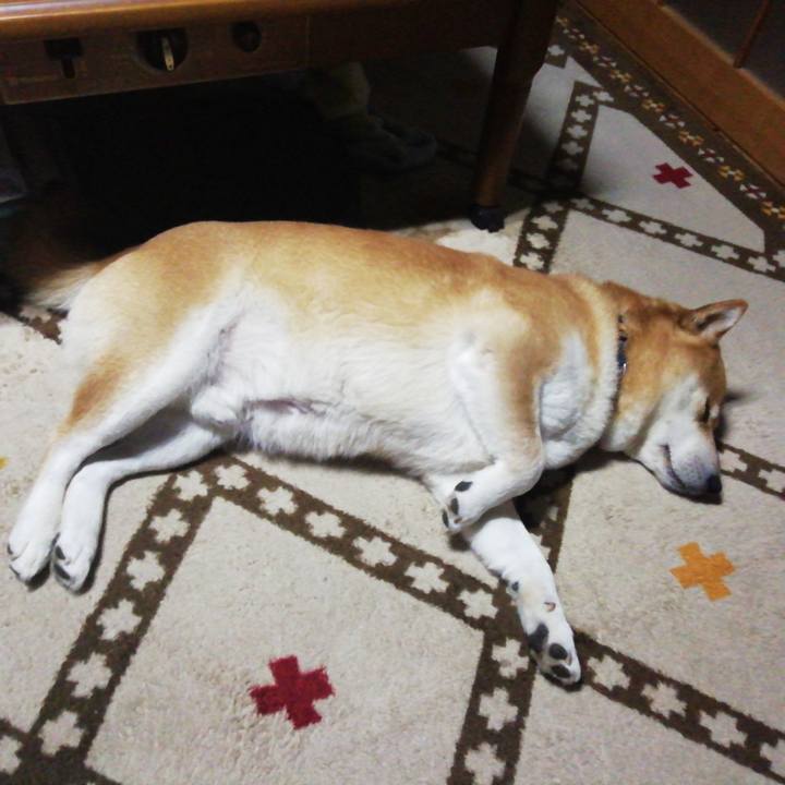 E8c03de1 9248 4222 b0f7 3bc631affcd3 1581497088137