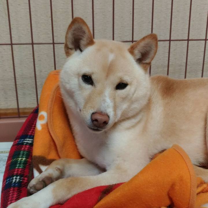 E8c05973 2aeb 4ce6 831e 553608248862 1517998320558