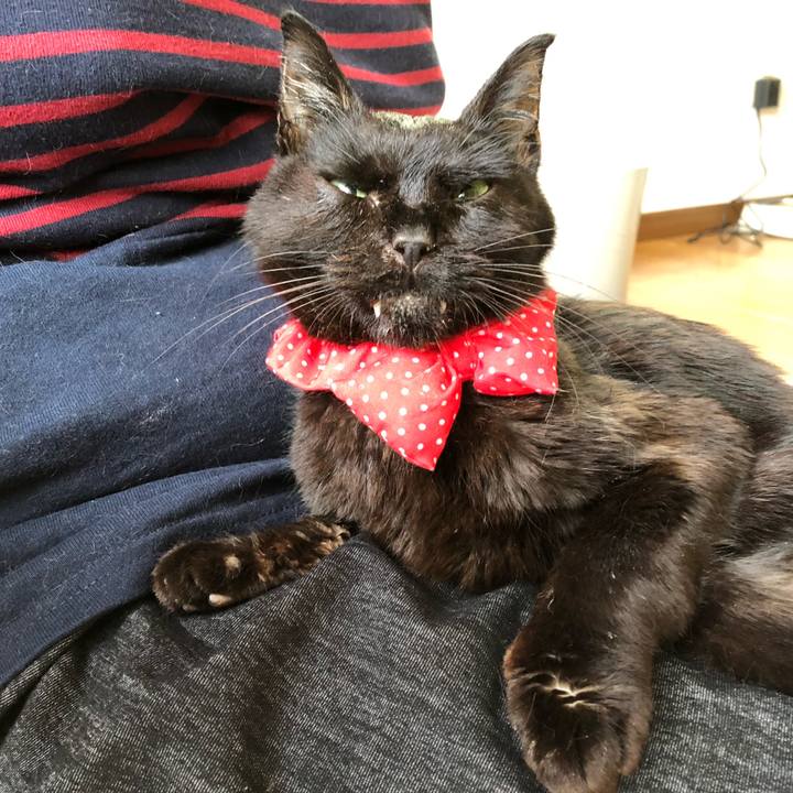 E8c0b092 bba7 4231 9b33 119efe49e93c 1558428508761