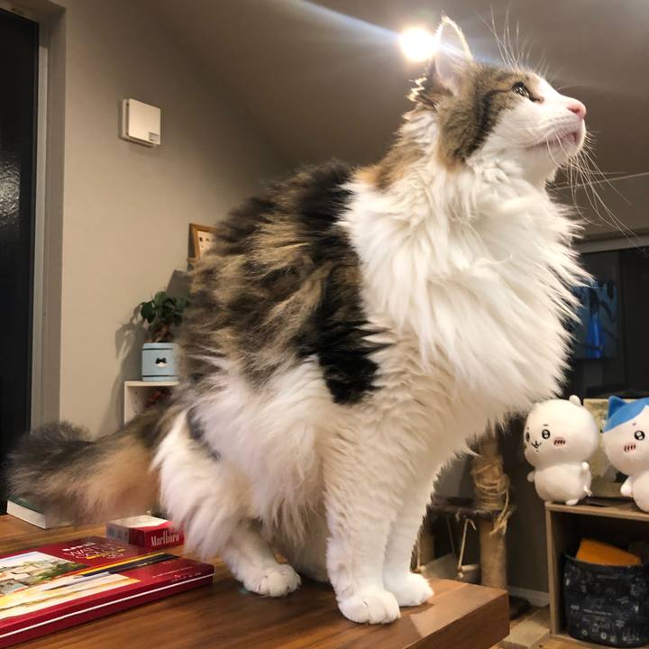 E8c0d056 e804 4b7c 9e41 3c55a4aedd0e 1631535589497