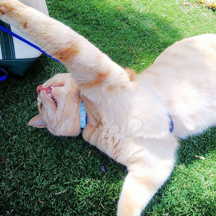 E8c0e3d0 2652 482c a179 f17a01ff0ebc 1621314514287