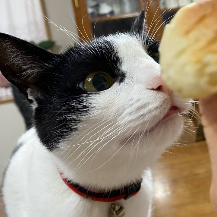 E8c0ef83 0add 4cb5 9124 50c9bfb64c60 1605138617180