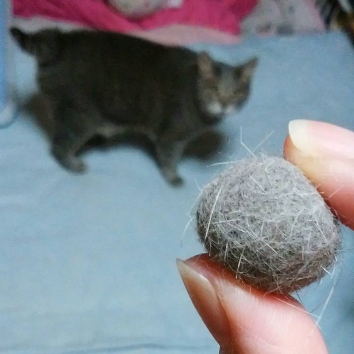 E8c0f6fd 5167 41e2 a265 dc7a0a1aea5c 1592577192884