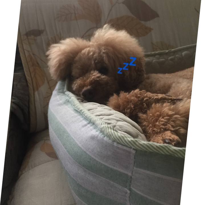 E8c10ad8 a3fa 4626 97fa e8b7f01ba16a 1528962611600