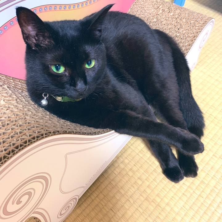 E8c11cb0 3474 4b78 9f69 aa5b84630905 1567960329645