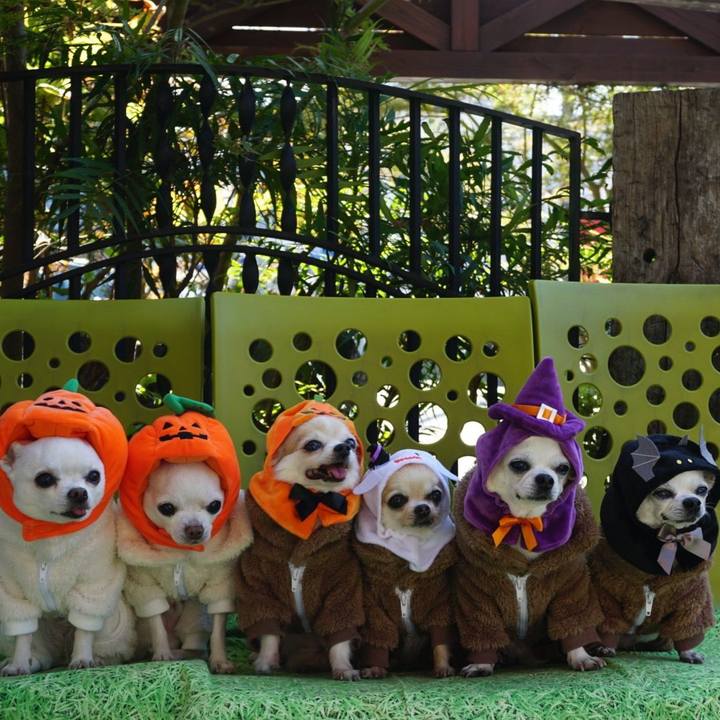 E8c1443e 7eb4 408e 8d31 f93b205991d9 1540682558135