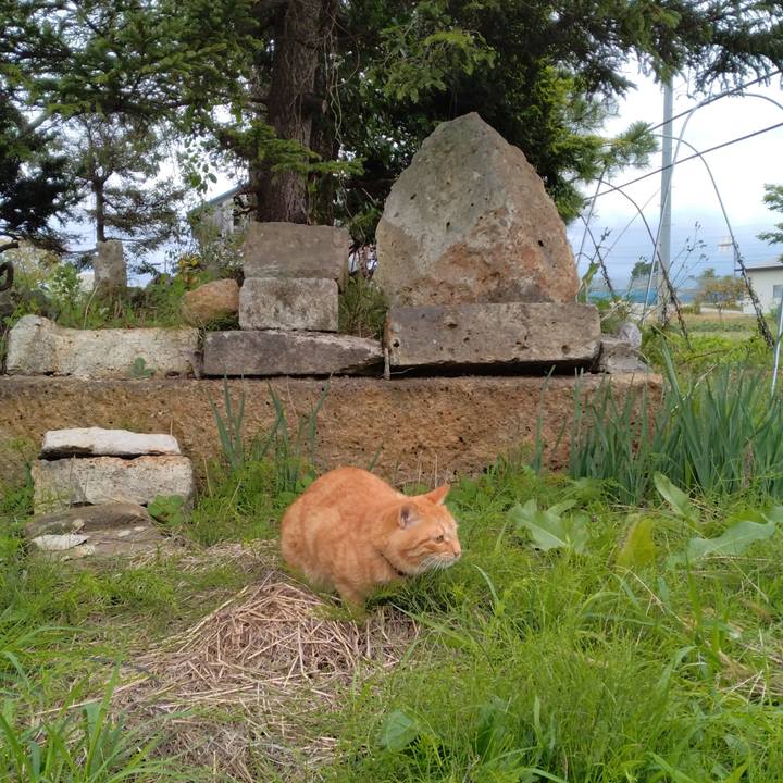 E8c14f6c 88e8 4050 9a9a 6e312cc42d73 1665296812423