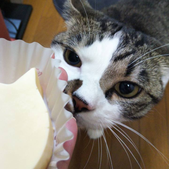 E8c163d7 cf56 4e6a be8b 5dd6398f0d3e 1653307336256