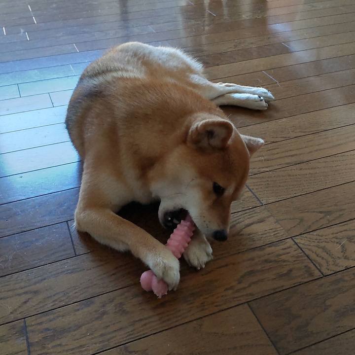 E8c1794f 3e1a 4d8e b0db d08ea55c4578 1656493699319