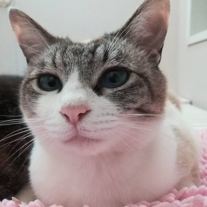 E8c185f3 30d0 48cf 81a2 c03ae83deafc 1558532993498