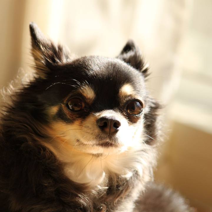 E8c18ee5 4424 4e2f ae3c 2c5e46fa4698 1552286853697