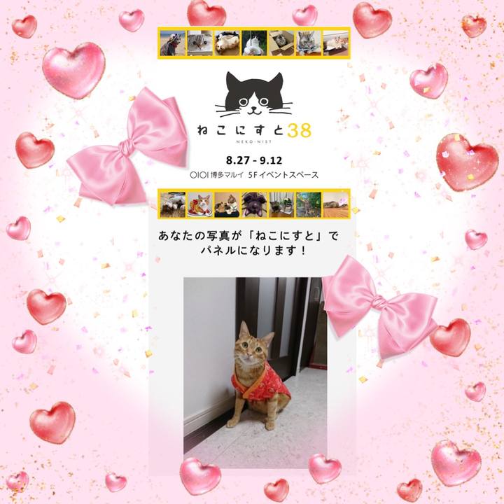 E8c1c6a6 e7f7 4a4a 8748 7d49a12c9827 1628673638748