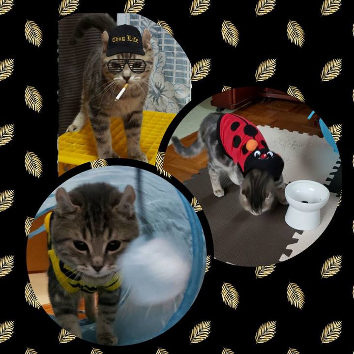 E8c1e6ba bbab 4f11 8448 c23f8958754f 1610976746106