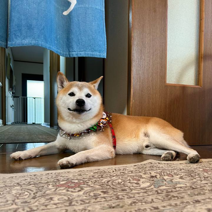 E8c20ec1 bc58 4462 afab 0137715fb976 1729506826439