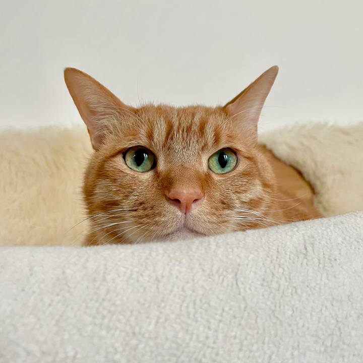 E8c21e1a a044 46c0 be31 d6ec69f2ff40 1639567641265