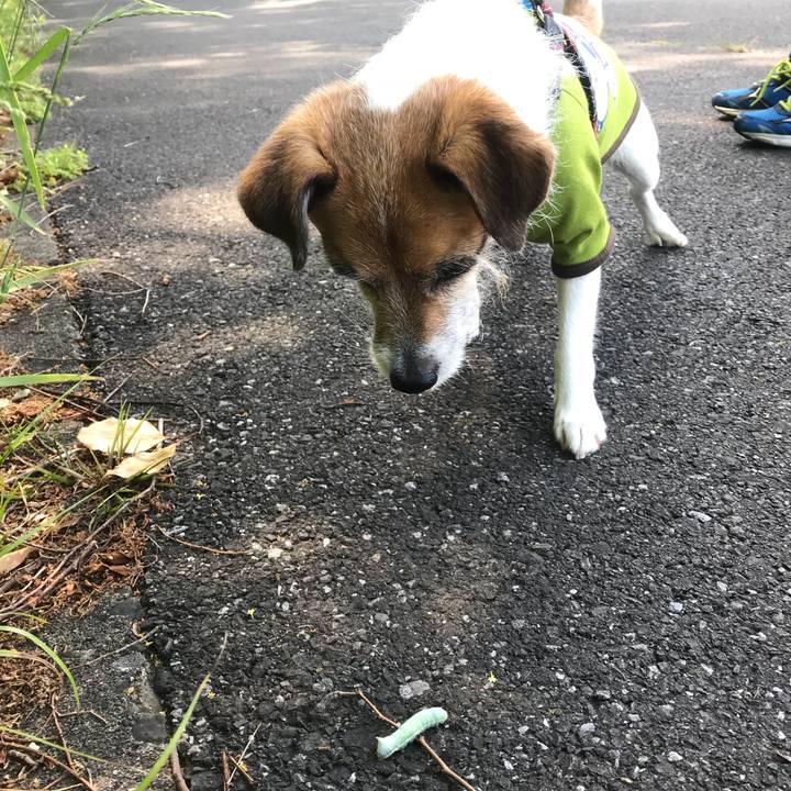 E8c24f08 9c6f 4505 8efb 6da42d305223 1525401343989