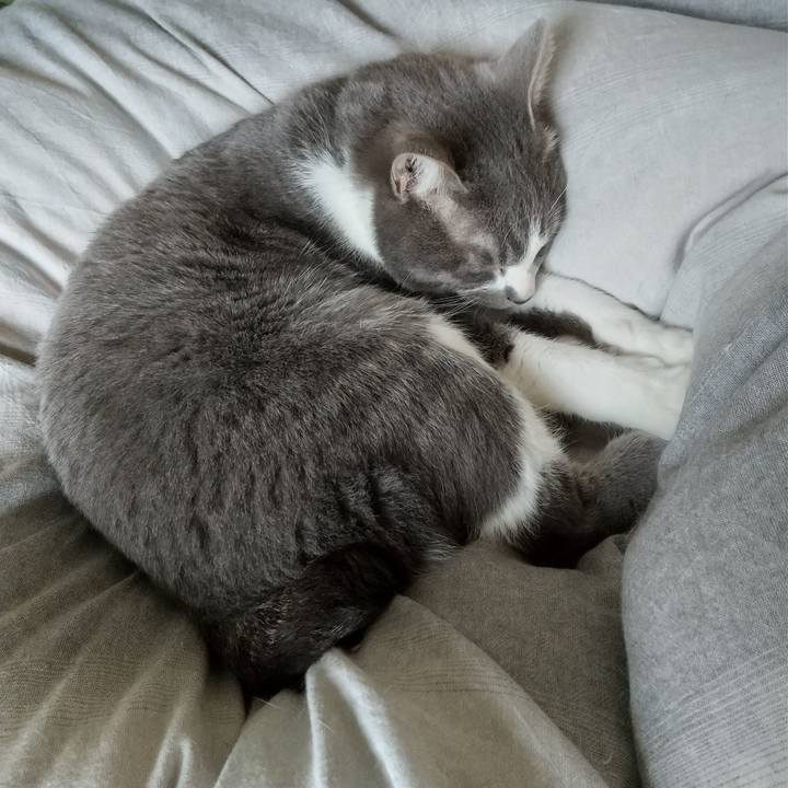 E8c270cd 96d7 48e9 a13c 7835629238fd 1647142888638