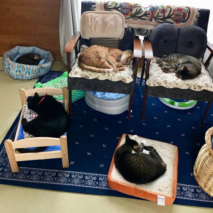 E8c2bc93 445d 4de6 914b b8abde3df925 1528087553988