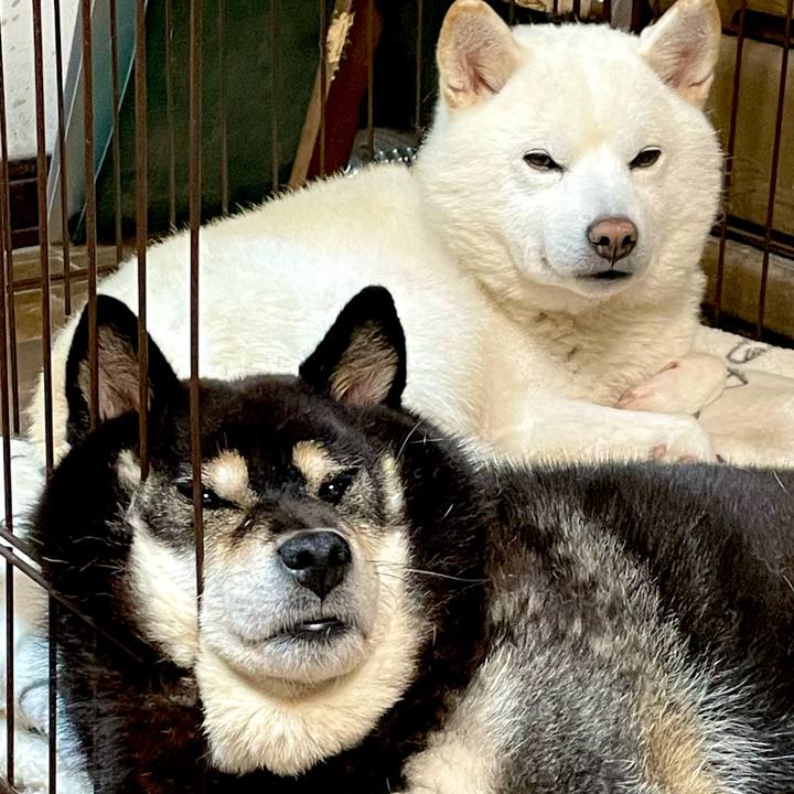 E8c2f951 2c3e 4169 a24f 468ad5082f41 1703208483342