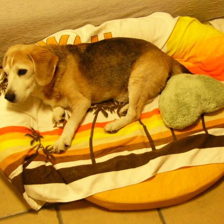 E8c30222 7a7b 4047 8667 3220ff6d68fd 1690675369303